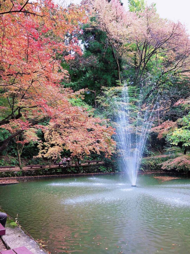 加茂山公園の紅葉と噴水