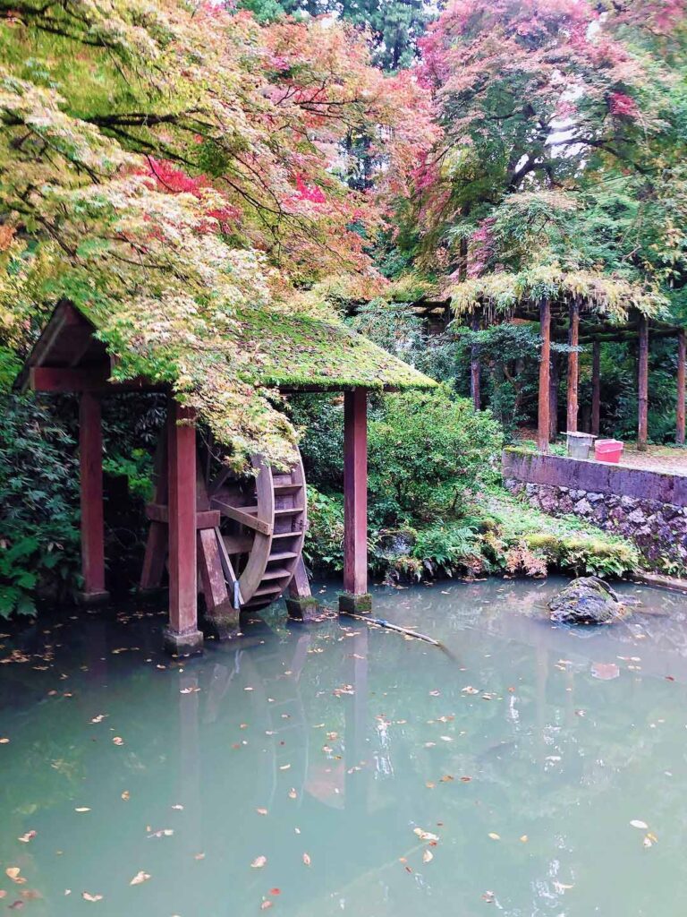 加茂山公園の紅葉と水車