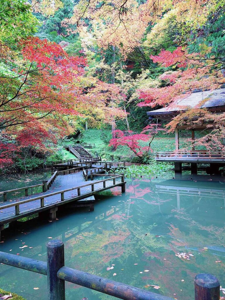加茂山公園の紅葉とあづま屋
