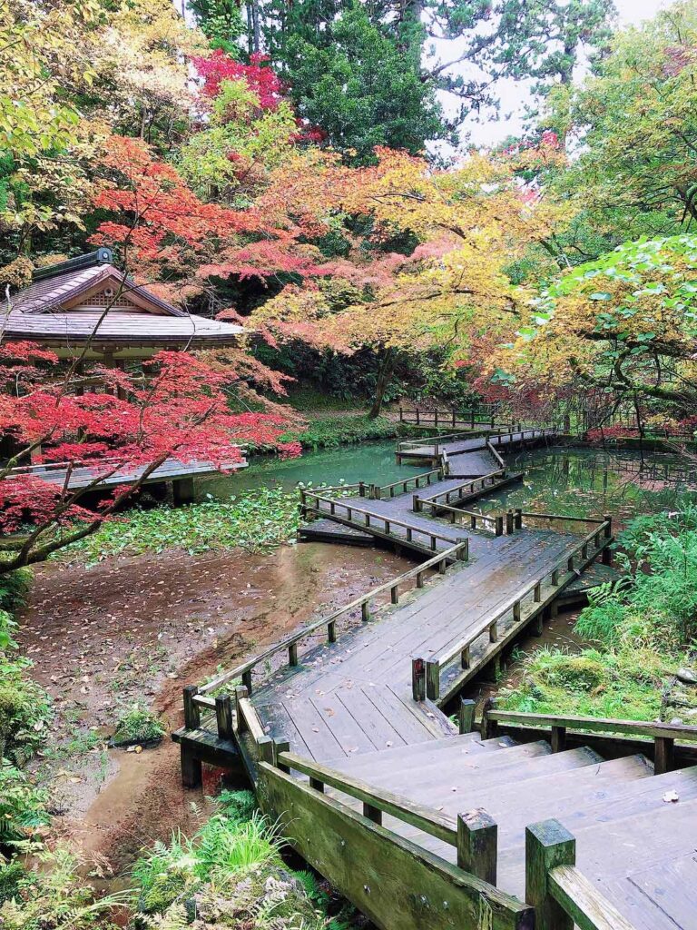 加茂山公園の紅葉とあづま屋その２