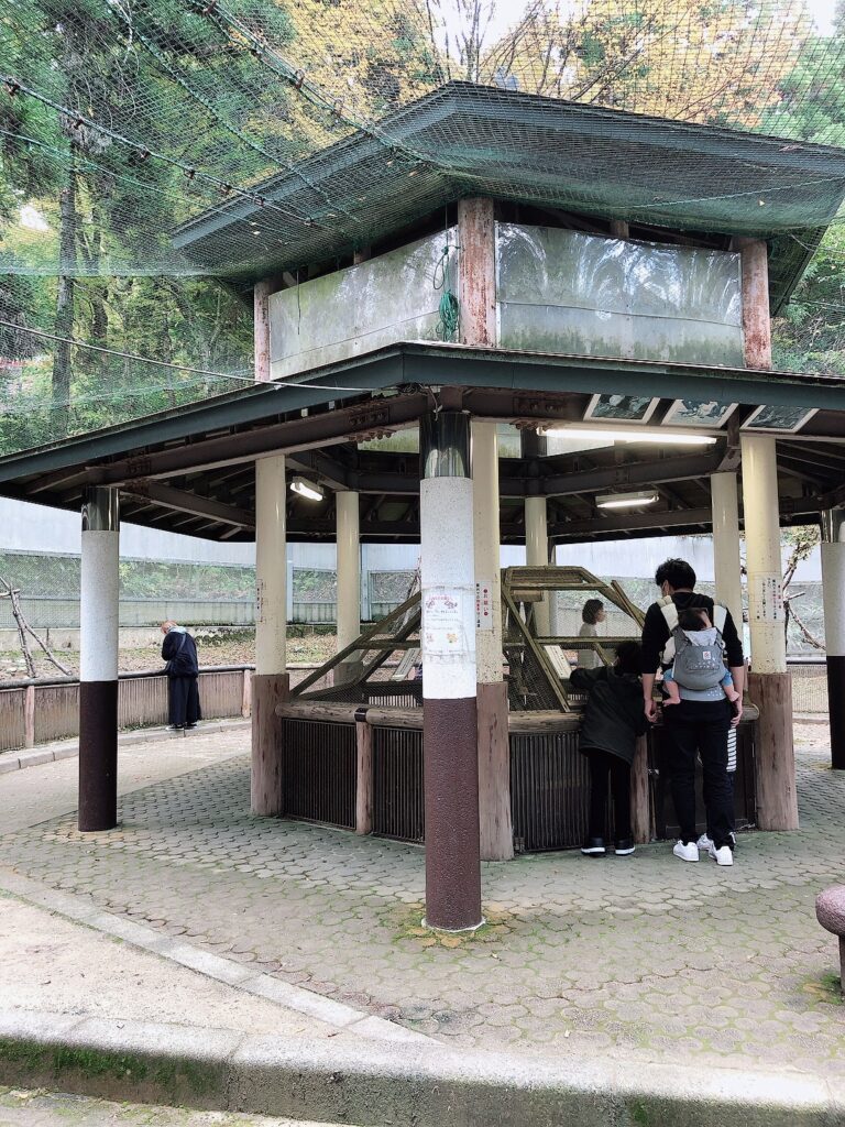 加茂山公園のリス園