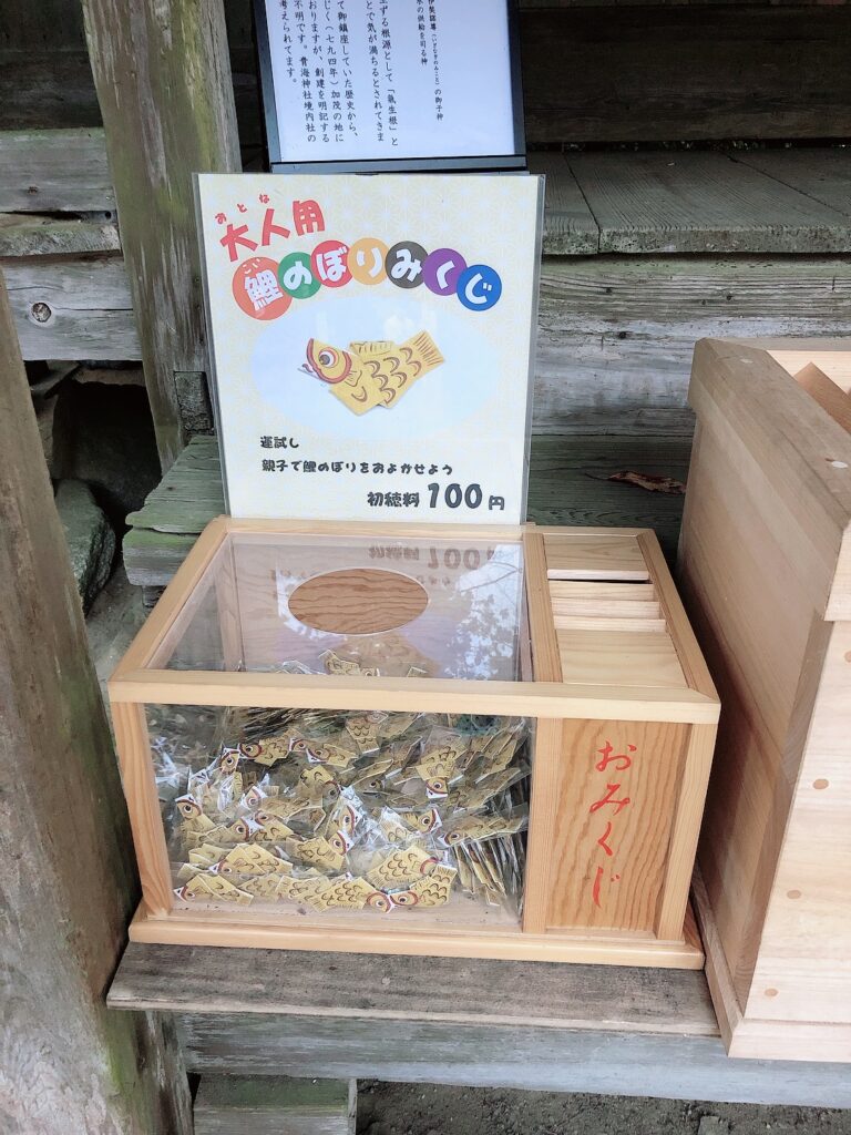 加茂山公園の鯉のぼりみくじ大人用