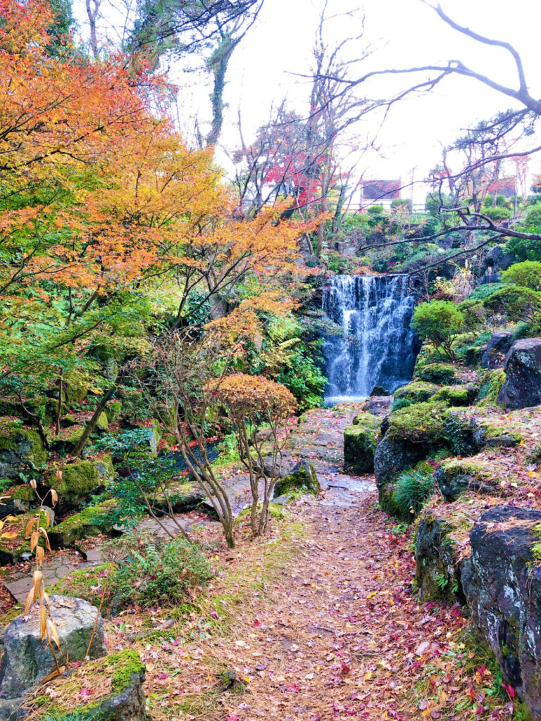 赤坂山公園の紅葉